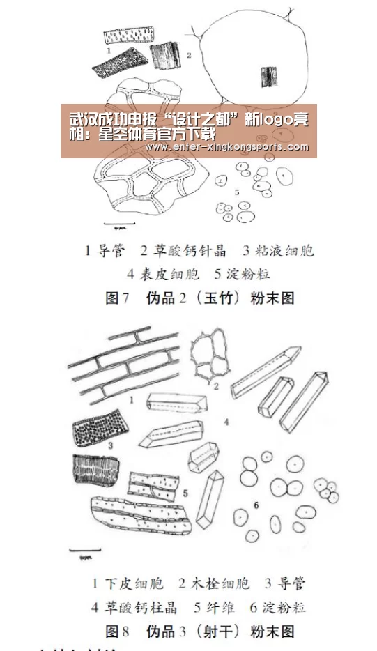武汉成功申报“设计之都”新logo亮相：星空体育官方下载