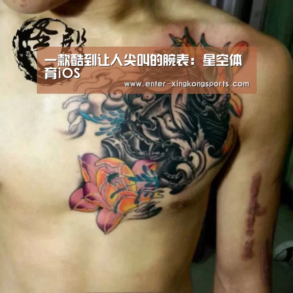 星空体育官方下载