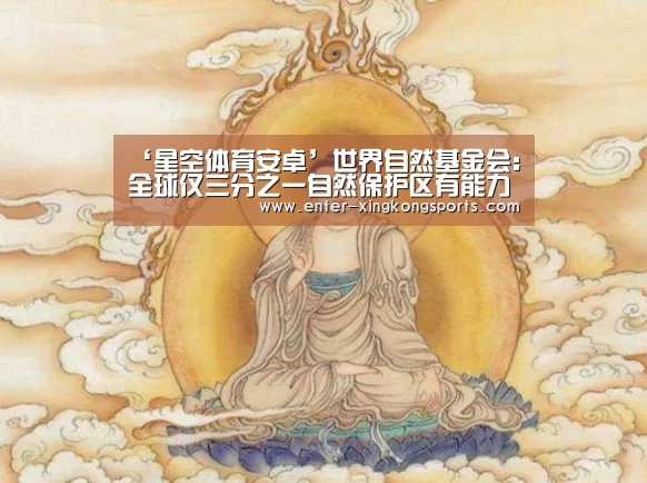 星空体育官方下载