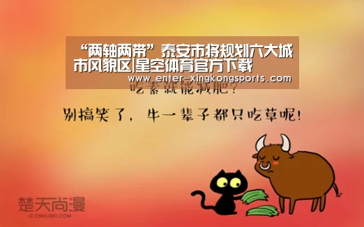 星空体育app下载