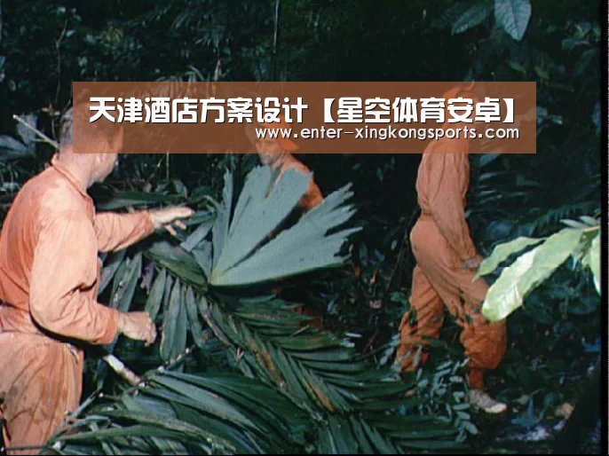 星空体育app下载