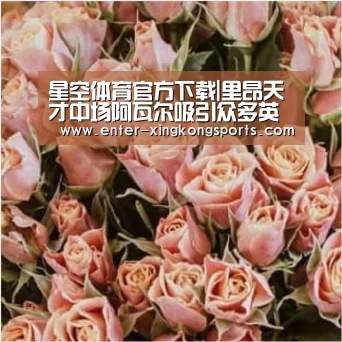 星空体育官方下载