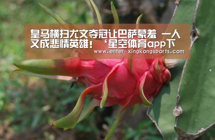 星空体育官方下载