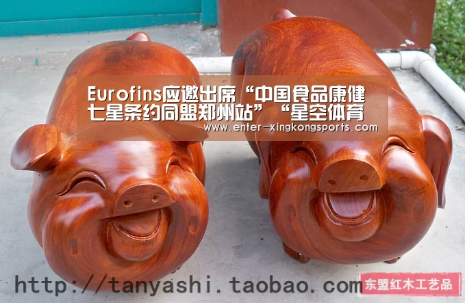 Eurofins应邀出席“中国食品康健七星条约同盟郑州站”“星空体育安卓”(图1) 星空体育app下载